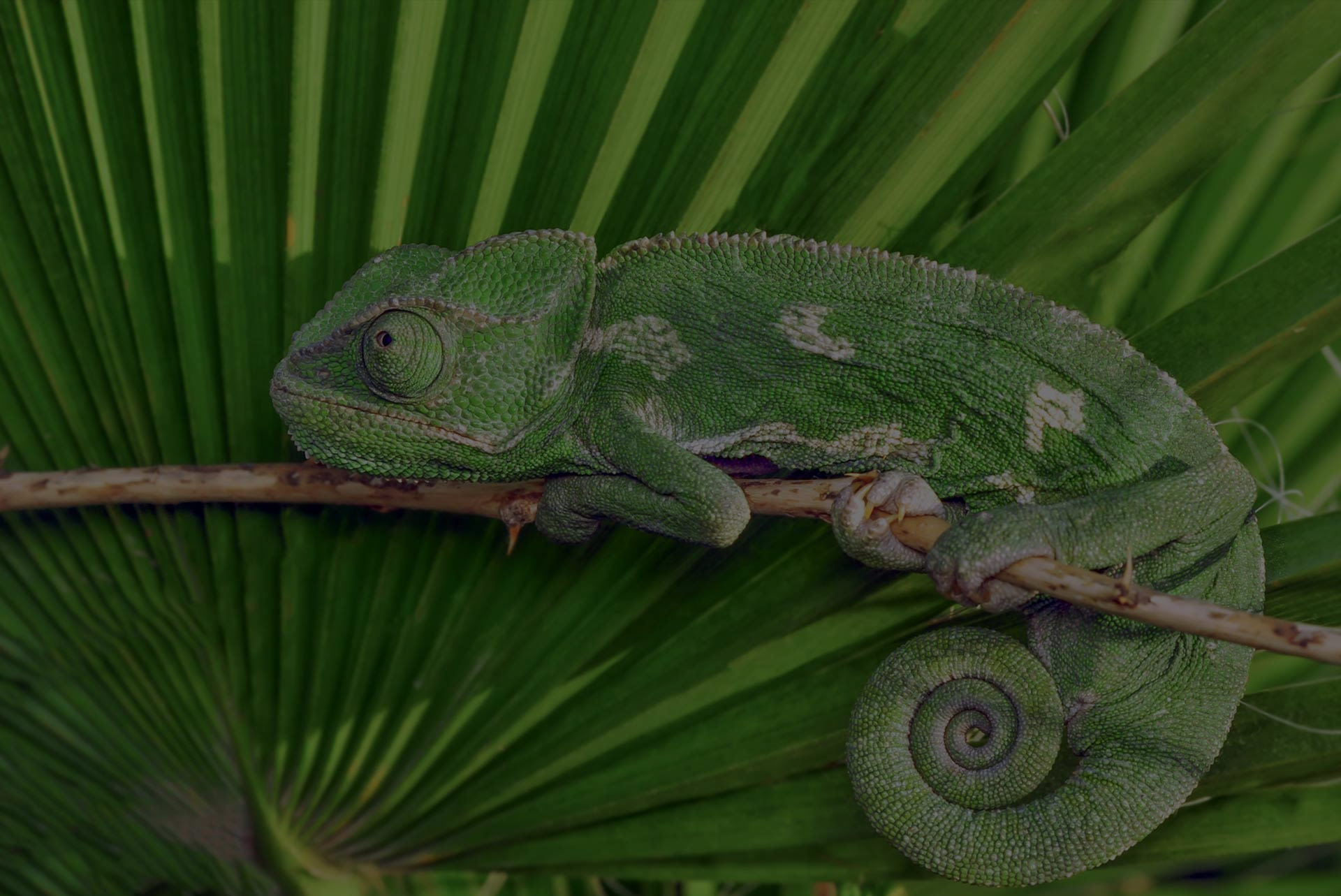 environnement-sophro